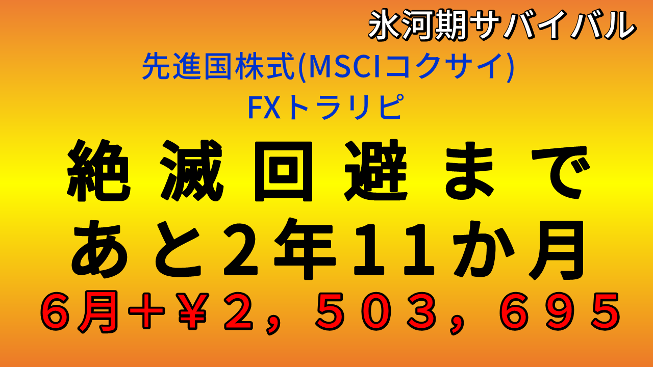 資産運用報告2024年6月